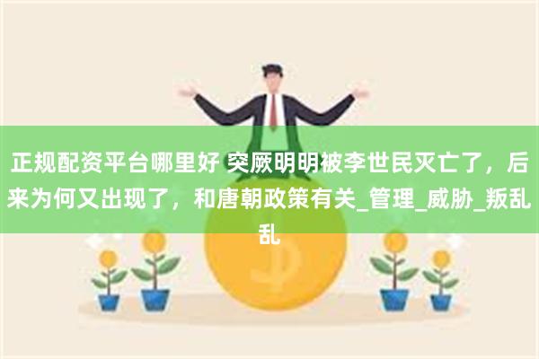 正规配资平台哪里好 突厥明明被李世民灭亡了，后来为何又出现了，和唐朝政策有关_管理_威胁_叛乱