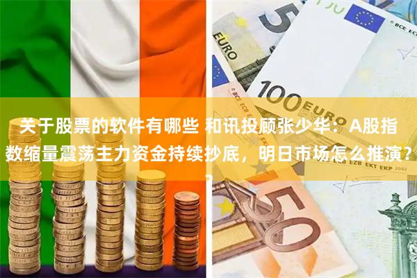 关于股票的软件有哪些 和讯投顾张少华：A股指数缩量震荡主力资金持续抄底，明日市场怎么推演？